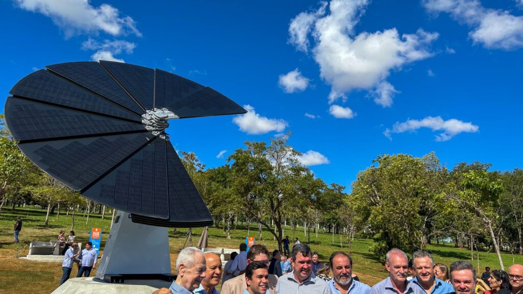 flor solar em Mato Grosso do Sul