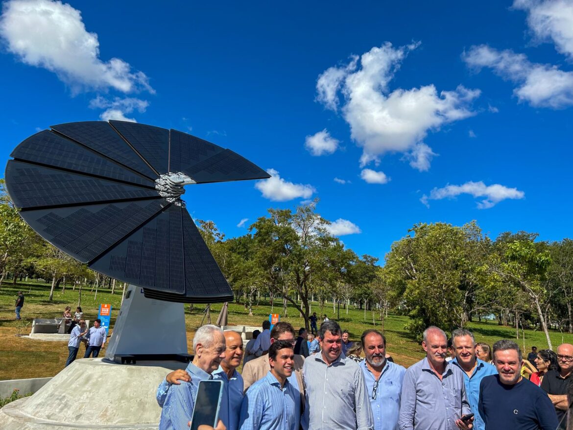 flor solar em Mato Grosso do Sul