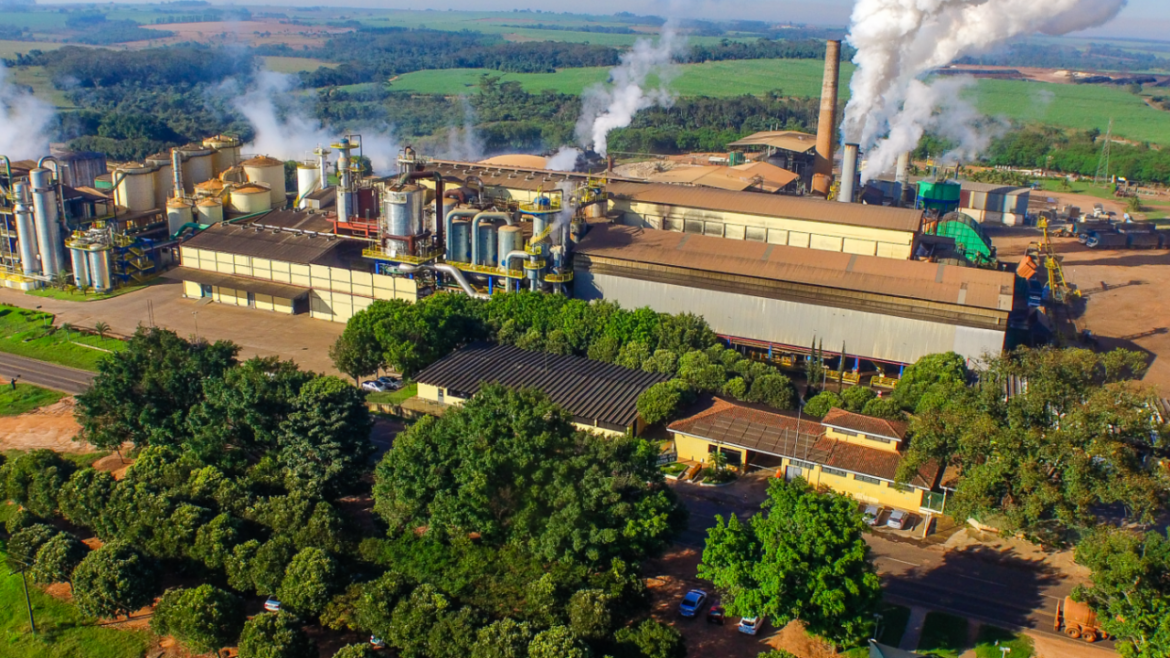 Focada em agricultura regenerativa, a fábrica da Caeté produzirá agentes biológicos para combater pragas e estimular o crescimento da cana-de-açúcar