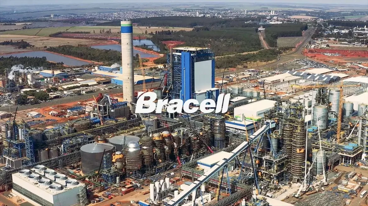 Bracell abre processo seletivo com vagas de emprego ao redor do Brasil