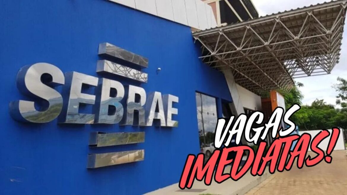 SEBRAE - SP abre processo seletivo com vagas de estágio ao redor de várias regiões do Brasil, confira os requisitos e salários