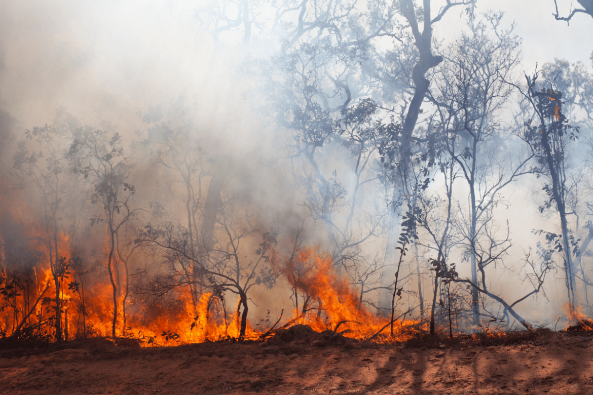 O governador de São Paulo estima prejuízos superiores a R$ 1 bilhão devido aos incêndios que devastaram o agronegócio no estado.