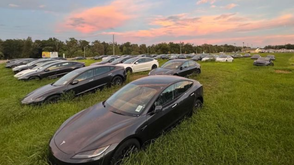 Centenas de Tesla Model 3 novos foram encontrados abandonados em um matagal em Tampa, Flórida, revelando problemas de armazenamento.