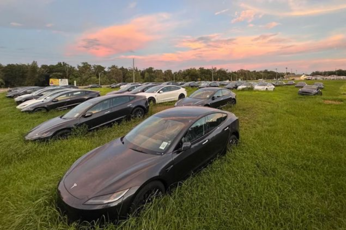 Centenas de Tesla Model 3 novos foram encontrados abandonados em um matagal em Tampa, Flórida, revelando problemas de armazenamento.