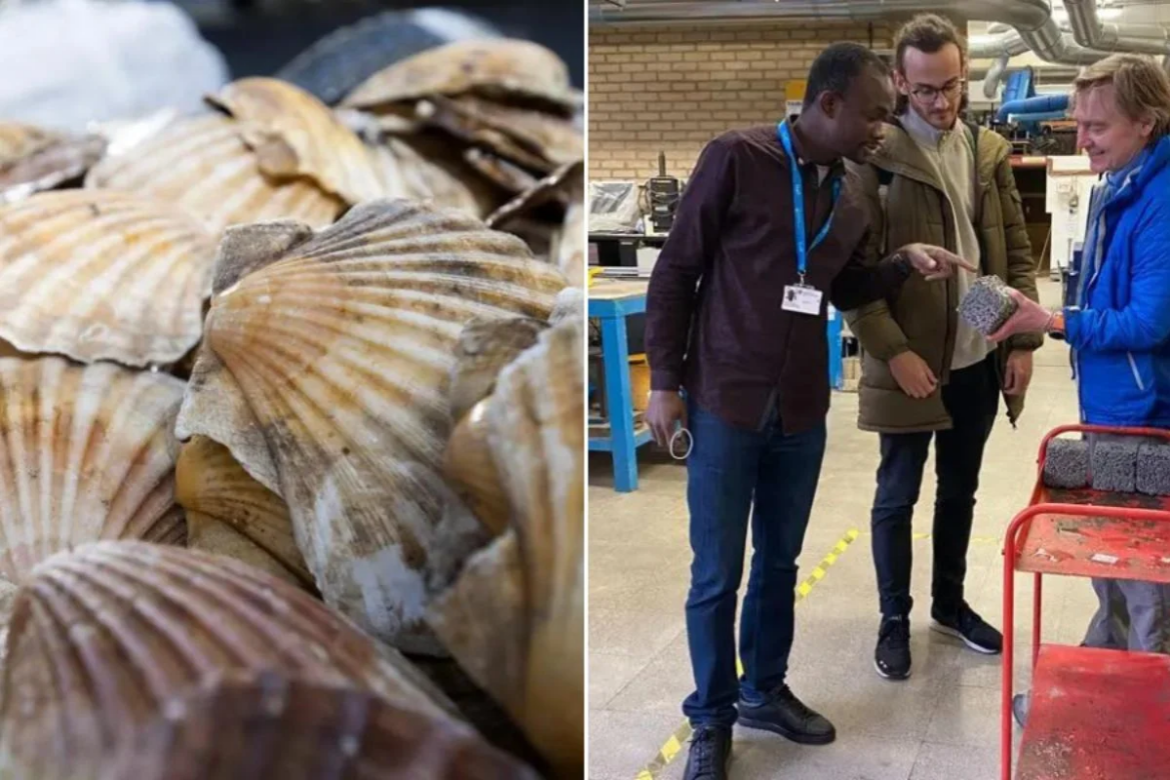 Projeto da UCLan desenvolve concreto ecológico com conchas descartadas, reduzindo emissões e prevenindo inundações em áreas urbanas vulneráveis.