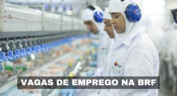 BRF, multinacional de renome no setor de alimentos, abre novas vagas de emprego para nível médio, técnico e superior. Confira mais detalhes e inscreva-se já!