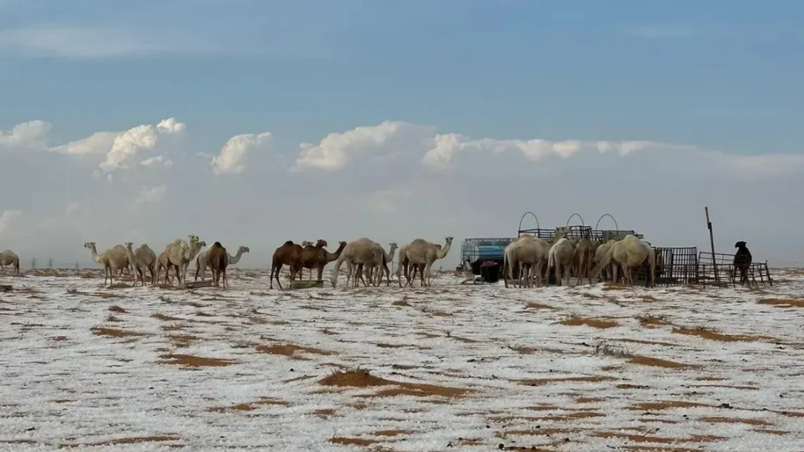 Granizo cobre o deserto de Al-Nafud na Arábia Saudita, criando uma paisagem que lembra neve e surpreende nas redes sociais.