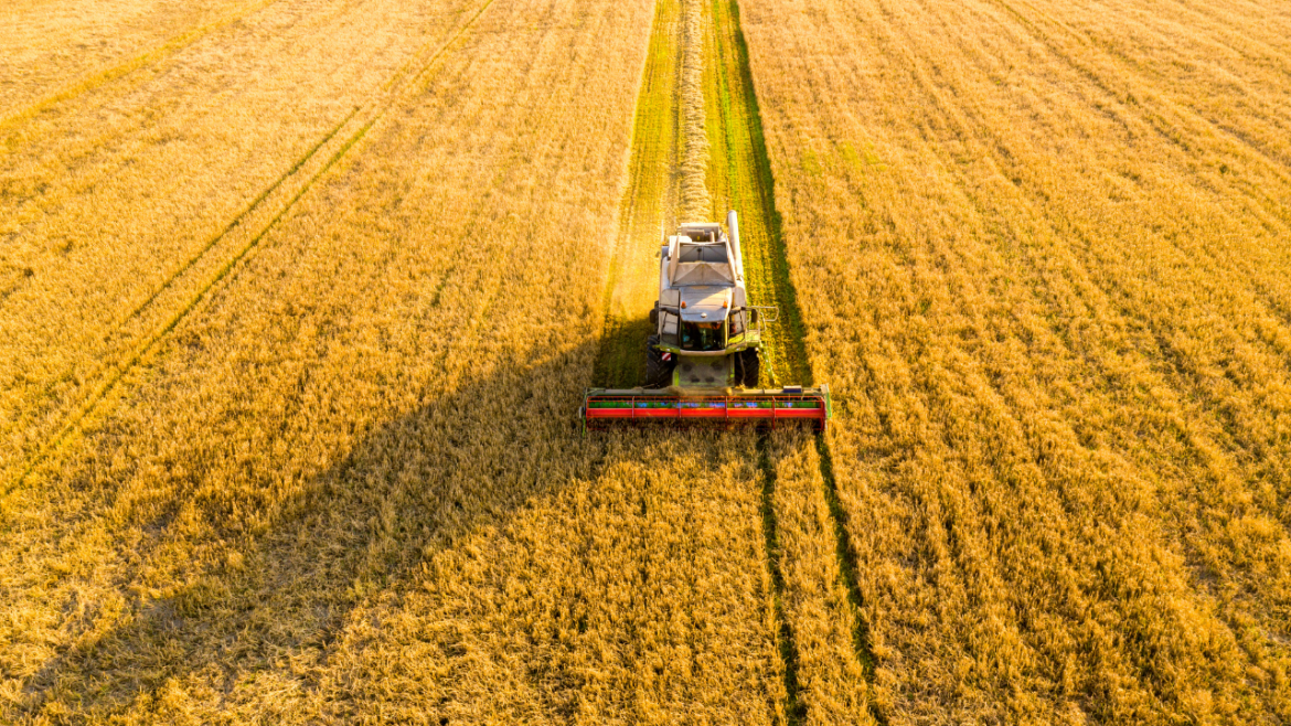 Cocal e Embrapa firmam parceria para aprimorar o uso de biofertilizantes nos canaviais, visando aumentar a produtividade e reduzir impactos ambientais.