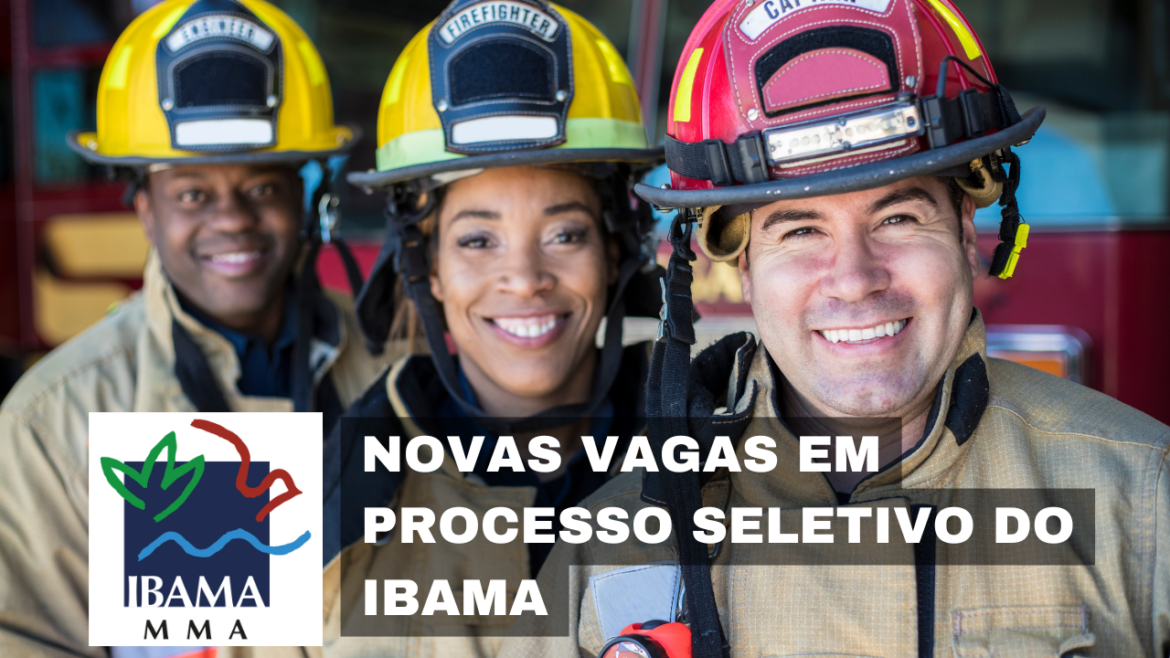 IBAMA abre 75 vagas de emprego em processo seletivo para Brigadistas e Chefes de Esquadrão no combate a incêndios florestais.