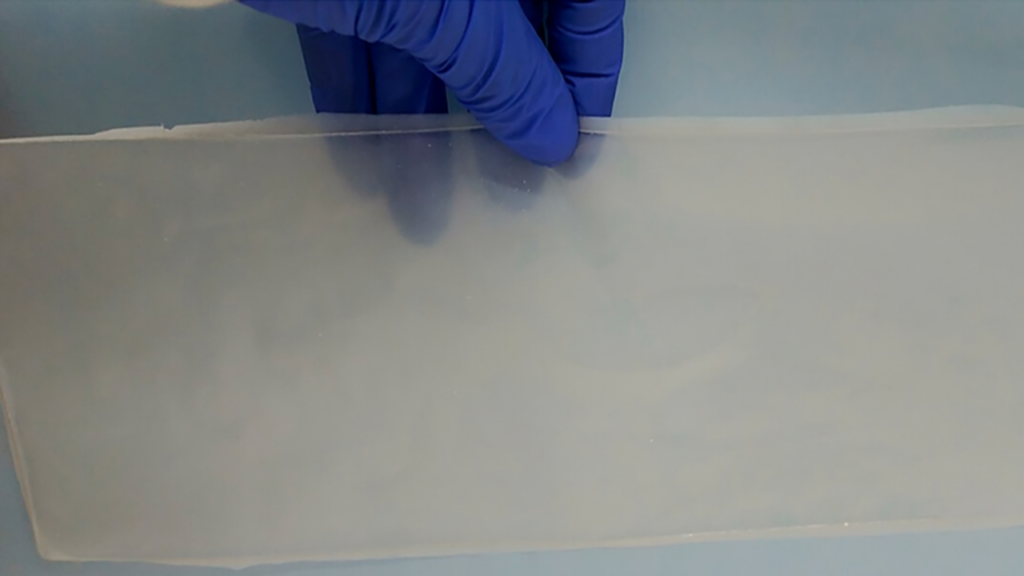 Pesquisadores israelenses desenvolvem plástico biodegradável inovador, resistente e comestível, oferecendo uma solução sustentável para o futuro.