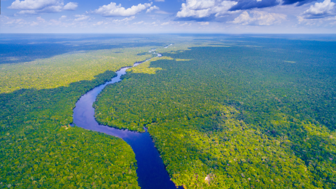 Marina Silva propõe a criação de um fundo internacional para garantir a preservação da Amazônia, buscando colaboração global.